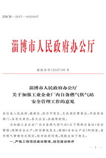 市政府辦公廳 關于加強工業(yè)企業(yè)廠內(nèi)自備燃氣供氣站安全管理工作的意見